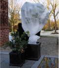 Nature - winterafdekvlies voor planten - 2 x 10m - 30 g m² - winterbescherming