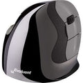Muis evoluent vmdmw donkerzilver