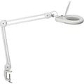 Loeplamp maul maulviso led