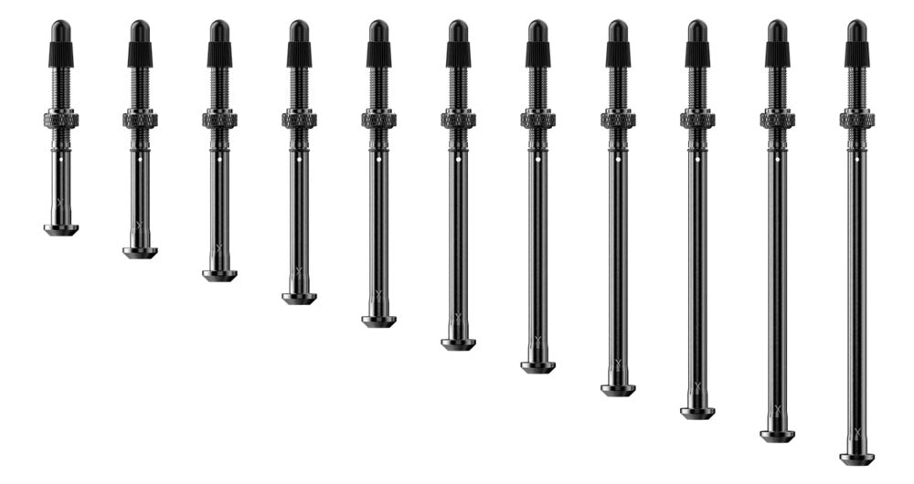 Quarq tyrewiz 2.0 tyre pressure valves 2 pieces | length i