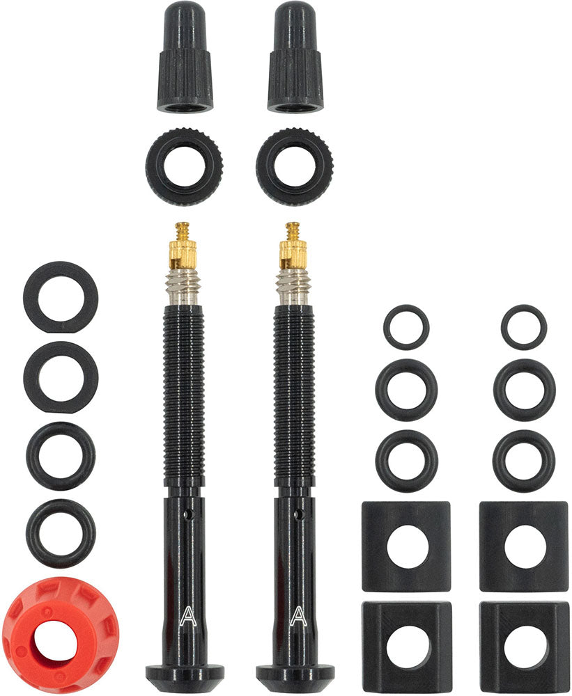 Quarq tyrewiz 2.0 tyre pressure valves 2 pieces | length i