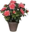 Mica decorations kunstplant - azalea - groen perzik kleurig - 27 cm - met mooie bloemen