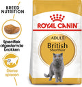 Royal Canin Britisch Kurzhaar