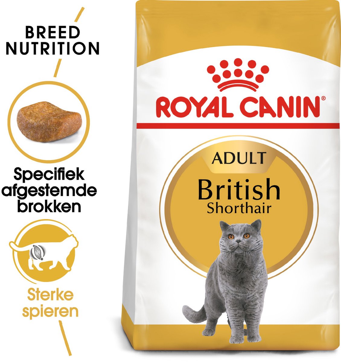 Royal Canin Britisch Kurzhaar