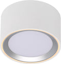Nordlux fallon surface-downlight-3 step moodmaker™ dimming-wit staal