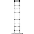 Telescoopladder telesteps 20138-601 zilver