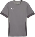 Puma teamgoal matchday jersey heren sportshirt - cast iron- white-shadow gray