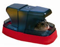 Savic Hamstertoilette