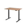 Bach zit-sta-bureau hammerer vxdkb12 n g multikleur 1200 x 800 mm
