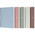 Collegeblok oxford 400154143 a4 multikleur