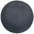 Zitbal leitz ergo cosy 5279