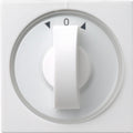 Gira systeem 55 besturingselement centrale plaat schakelmateriaal - 066603 - e2fvv
