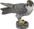 Collecta wilde dieren (s): slechtvalk 6.5x3x4.5cm