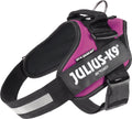 Julius k9 julius-k9 idc®powertuig, l - maat 1, donkerroze l
