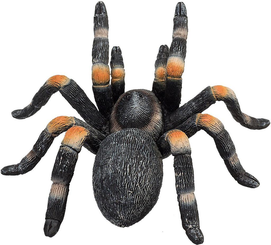 Mojo Wildlife Rote Vogelspinne - 387213