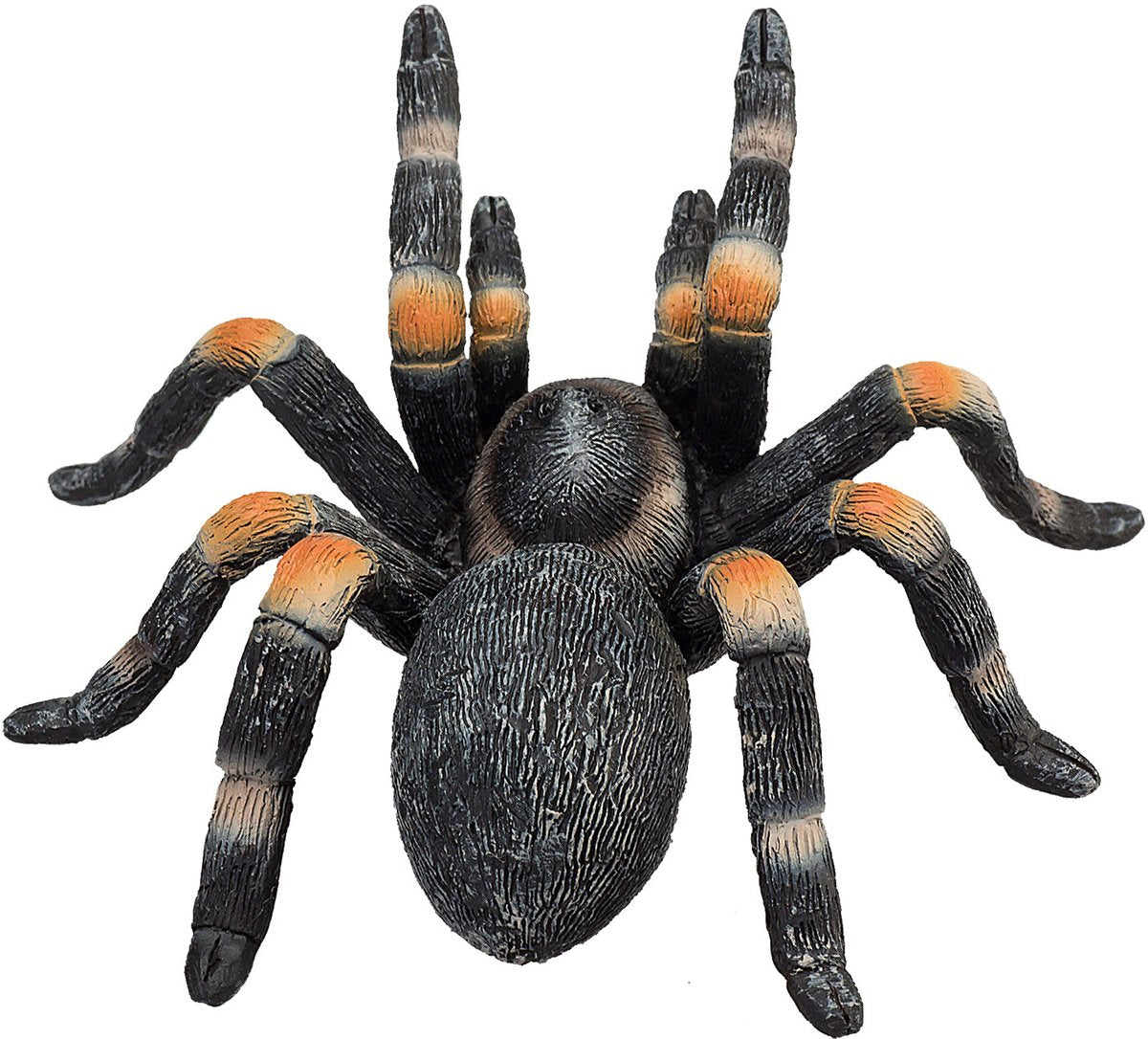 Mojo Wildlife Rote Vogelspinne - 387213
