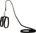 Beeztees - kattentuigje - nylon - zwart - 130 cm x 10 mm