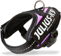 Julius k9 wereld bekende idc powertuig voor tekstlabels roze maat: baby1
