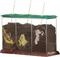 Learning resources compostbak educatief speelgoed doorzichtig biologie. - 3+