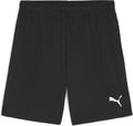 Puma teamgoal shorts heren sportbroek - black- white
