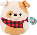 Squishmallows - medium plush 30cm brock - white and tan bulldog w plaid bandana