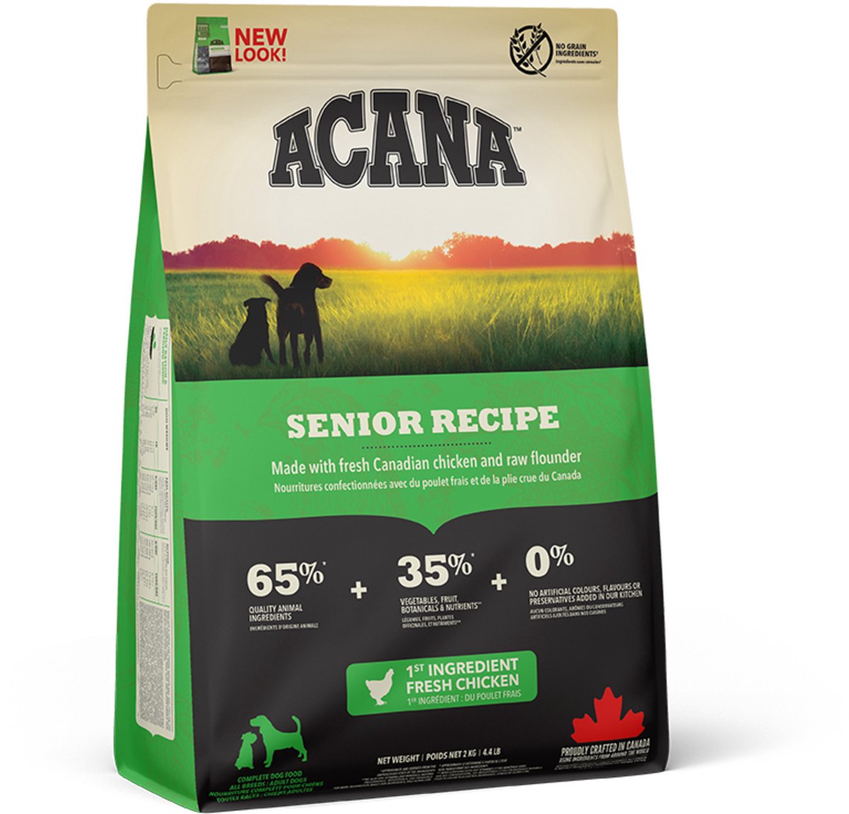 Acana-Hund, älterer Hund