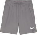 Puma teamgoal shorts heren sportbroek - cast iron- white