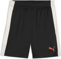Puma individualliga training shorts