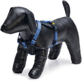 Beeztees parinca premium y-tuig - hondentuig - nylon - blauw - 37-40 cm x 15 mm