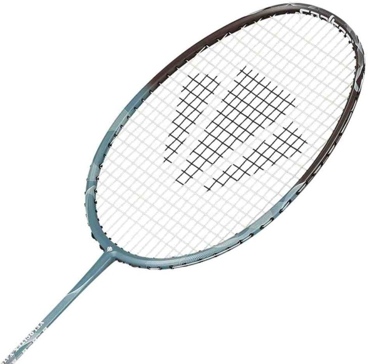 Carlton velocitex v410