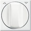 Busch-jaeger abb balance si schakelelement centrale plaat - 2cka001753a0231 - e378y