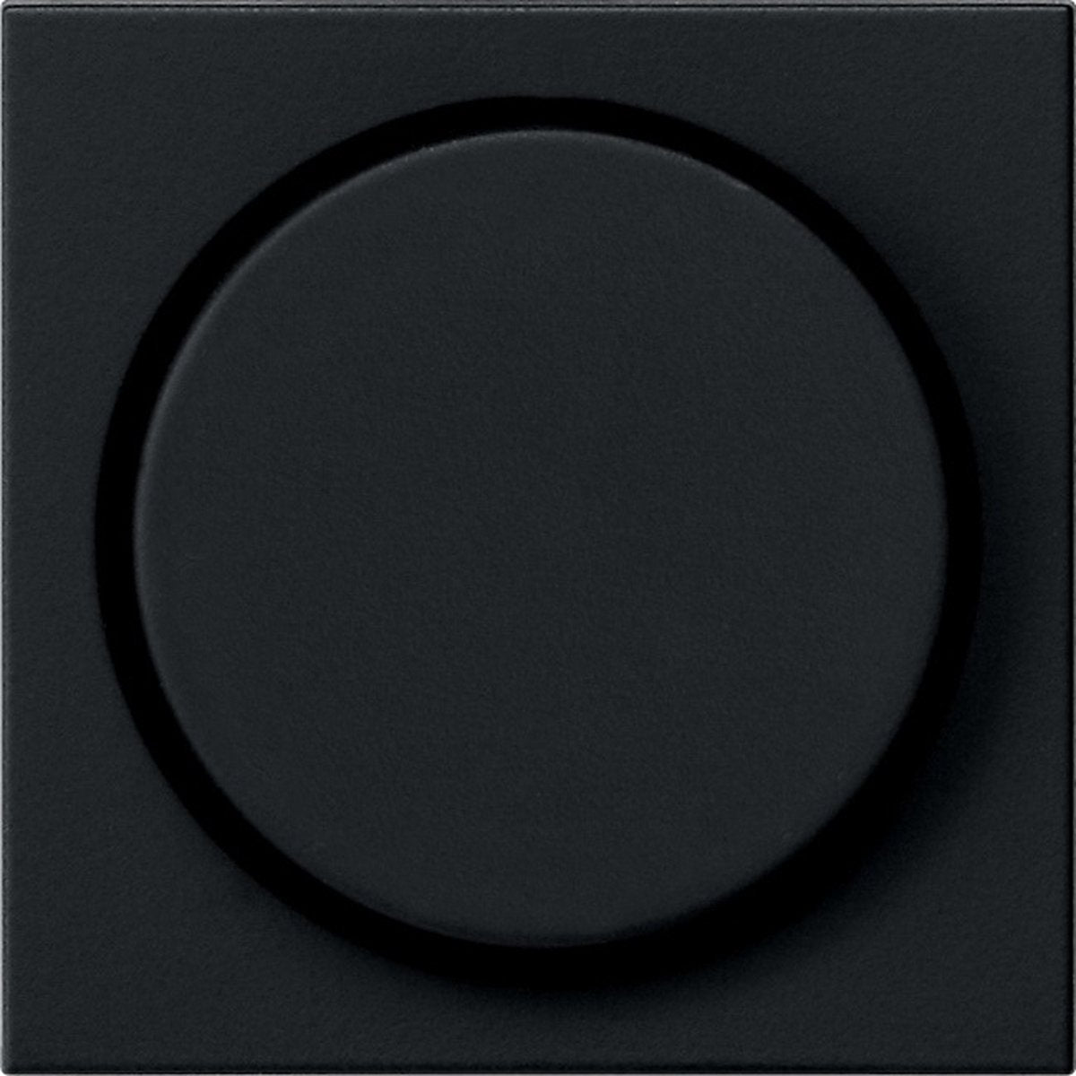 Gira systeem 55 besturingselement centrale plaat schakelmateriaal - 0650005 - e2ye6