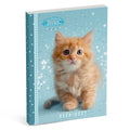 My favourite friends schoolagenda internationaal - kat