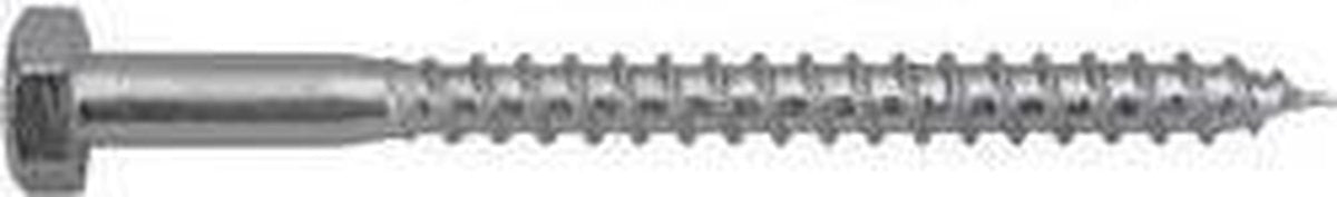 Swg 192 10 100 67 houtschroef 10 mm 100 mm din 571 staal verzinkt 25 stuk(s)