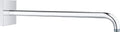 Grohe rainshower douchearm 422 mm