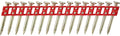 Dewalt accessoires dcn8903043 xh nagels verzinkt 43x3.0mm voor dcn890 betontacker 510 stuks - dcn8903043