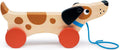 Mentari trekfiguur puppy
