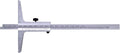 Limit dieptemeter uit roestvrij staal mat verchroomd 1 20 mm din862 200 mm depa200