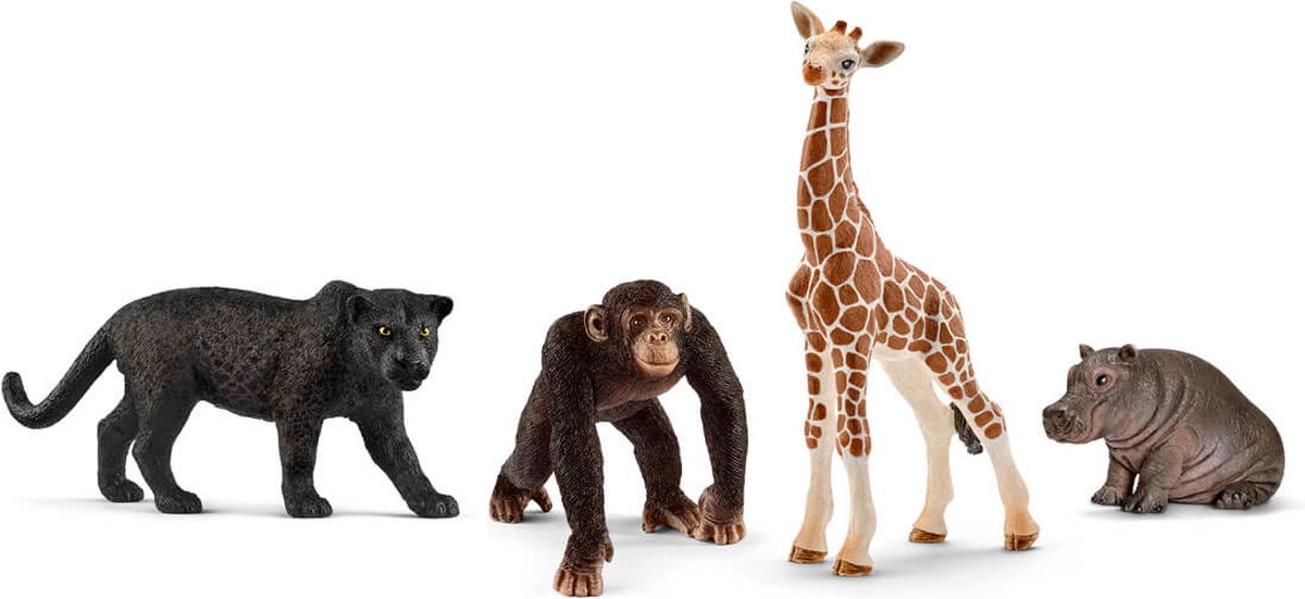 Schleich Wild Life Starterset 72162