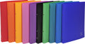 Exacompta ringband 541999e kleurenassortiment 84 g