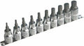 Asta satra spline doppen 10 delige set op rail - veeltanddop bitten set - 12 tand bit
