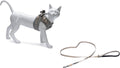 Beeztees parinca kattentuigje met looplijn - kattenharnas - nylon - lichtgrijs - borstomtrek 37-42 cm - nekomtrek 26-31 cm