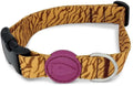 Morso recyceltes Dschungeltrommel-Hundehalsband orange