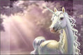 Kangaro K-0014D110 Schreibtischunterlage PP 38x58cm Einhorn-Design