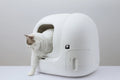 Petkit pura max cat little box