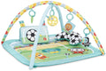 Bright starts baby activity gym grip kick - - vanaf 0 maanden