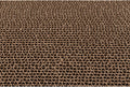 Beeztees minus one krabplank ilano - 48.5 x 12 x 5 cm