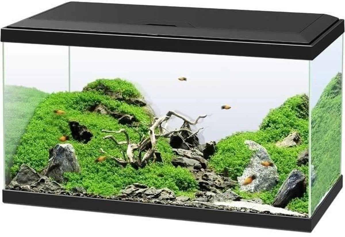 Ciano aquarium - 60 l - filter - led - verwarming - 30ppi schuim - cf80 - zwart