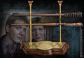 Harry potter the noble collection (tover)staf wand collection weasley twins bruin