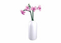 Sluban orchidee bouwspeelgoed kinderen vanaf 12 jaar – constructiespeelgoed modelbouw – bouwdoos met 253 bouwstenen – m38-b1101-12